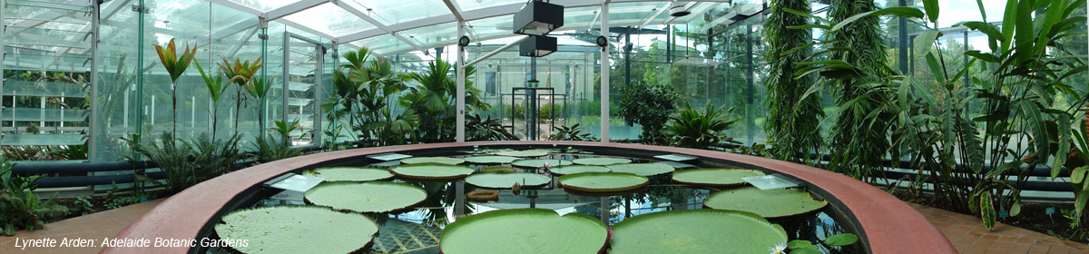 Australian Haiku Society