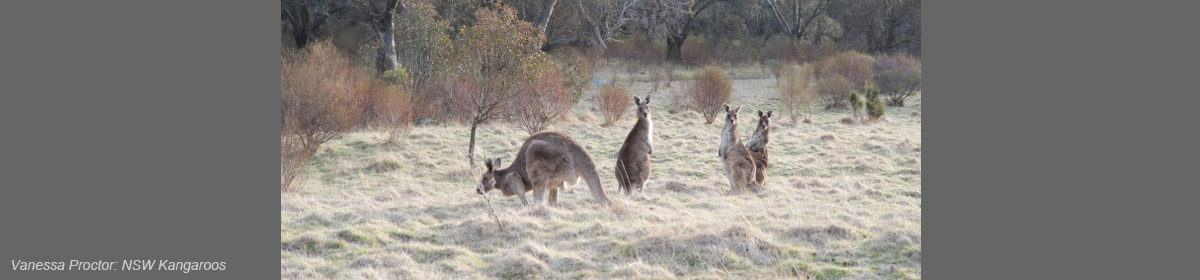 Australian Haiku Society