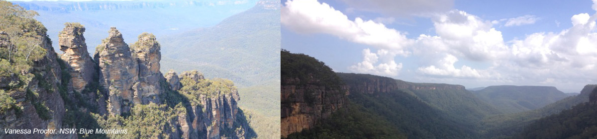 Australian Haiku Society