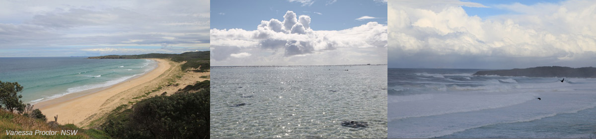 Australian Haiku Society