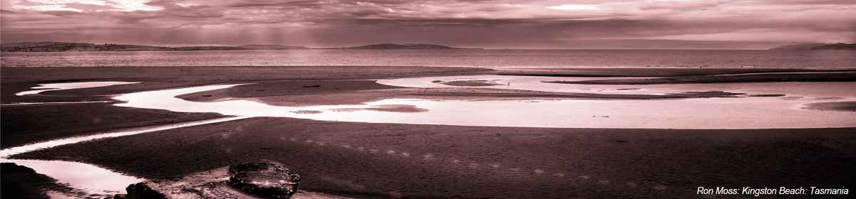 Australian Haiku Society