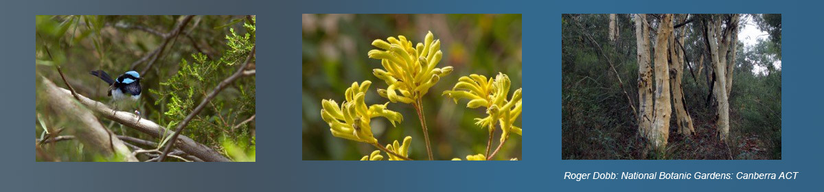 Australian Haiku Society