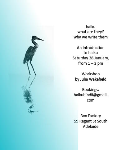 for-web-image-haiku-bindii-site