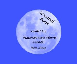 summer-seasonal-poets-a4-flyer