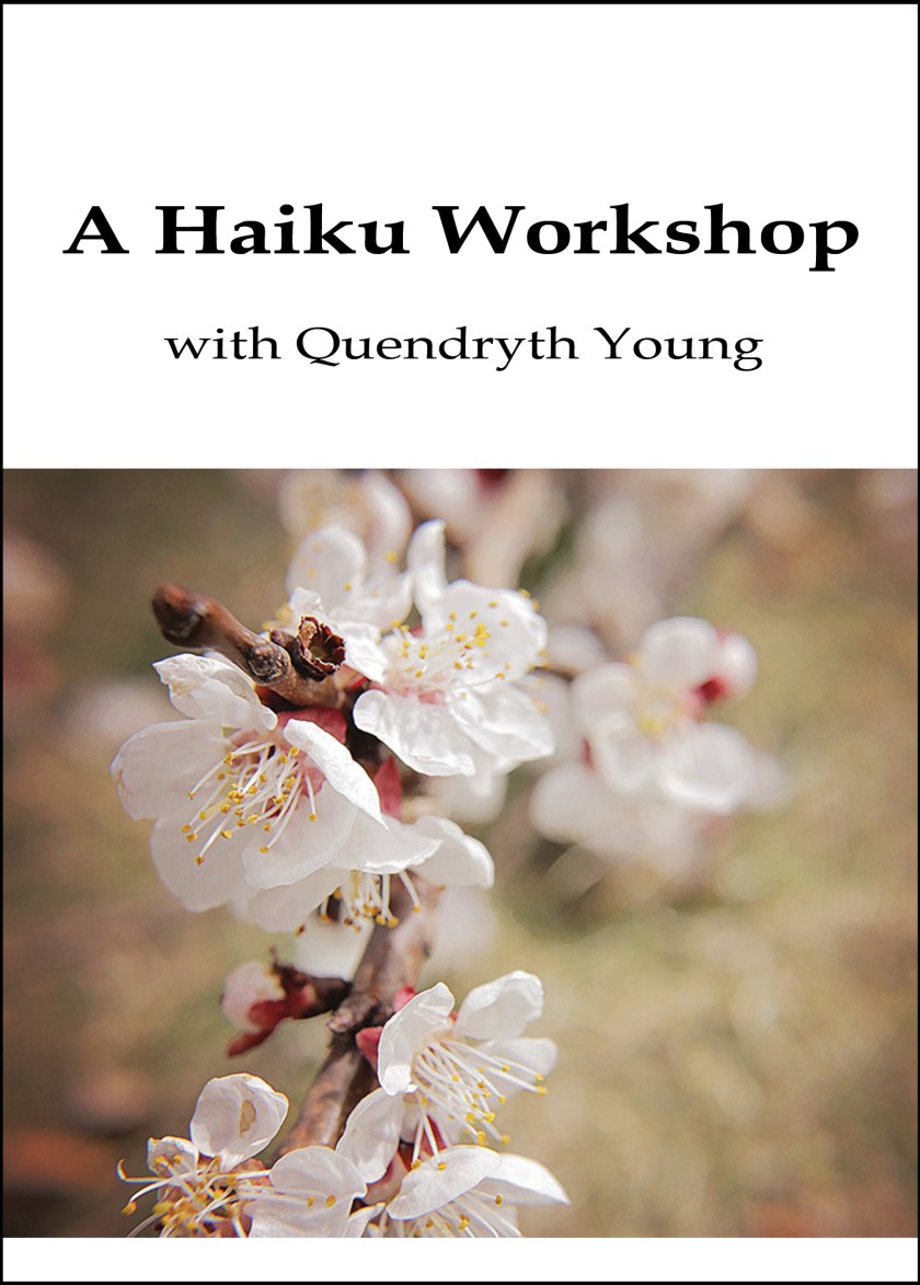 A Haiku Workshop Quendryth Young