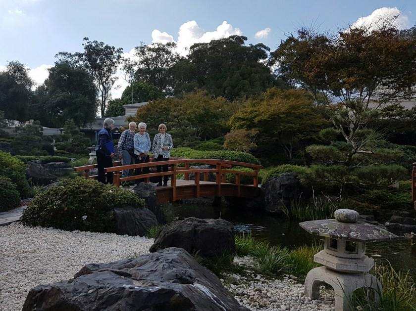 Beverey George Ginko 10 yrs U3A_resized