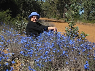 Janet Howie wildflowers