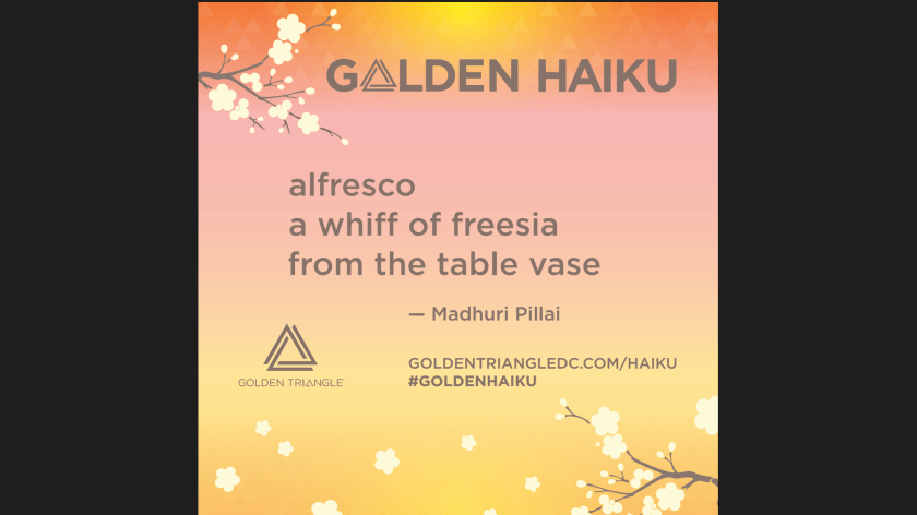 Golden Haiku Madhuri Pillai