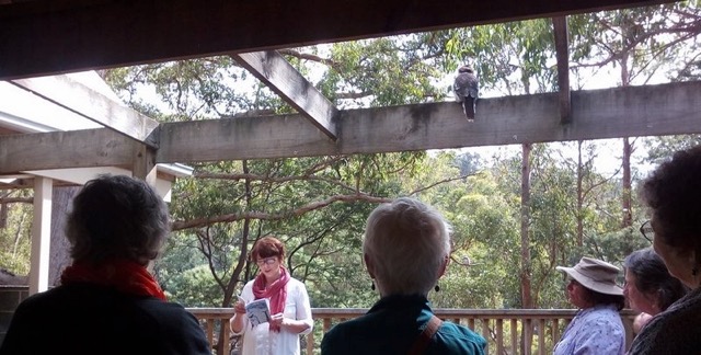 Jane Williams echoes launch