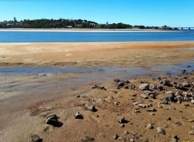 Cloudcatcher B May 2018