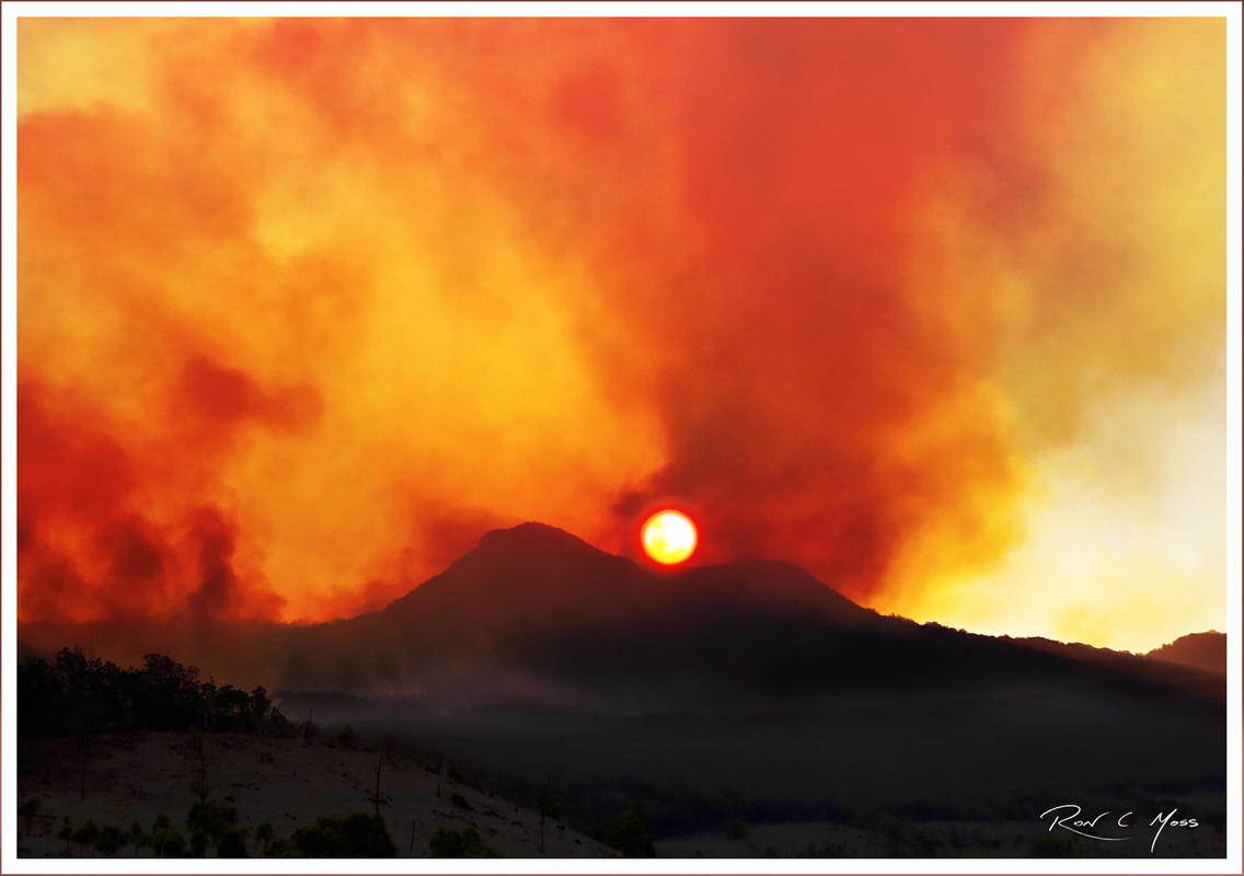 Australian Haiku Society Summer Solstice 2019 Haiga Kukai:&nbsp;Seasonal