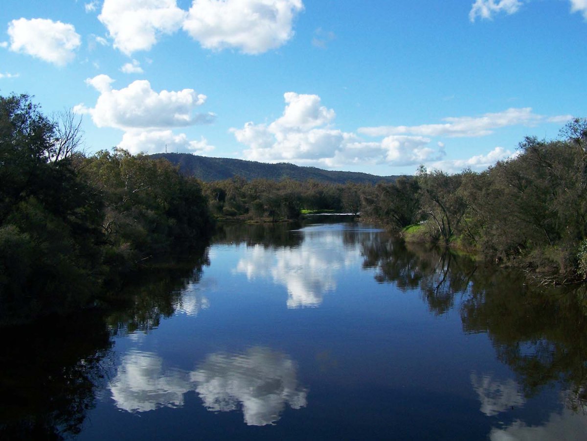 Paperbark Haiku Group Summer Gathering 2020, Wednesday 12th February 10am to&nbsp;noon.