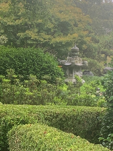 autumn 2020 view from our round table spare