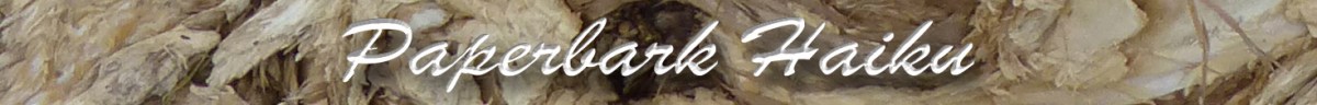 Paperbark Haiku
