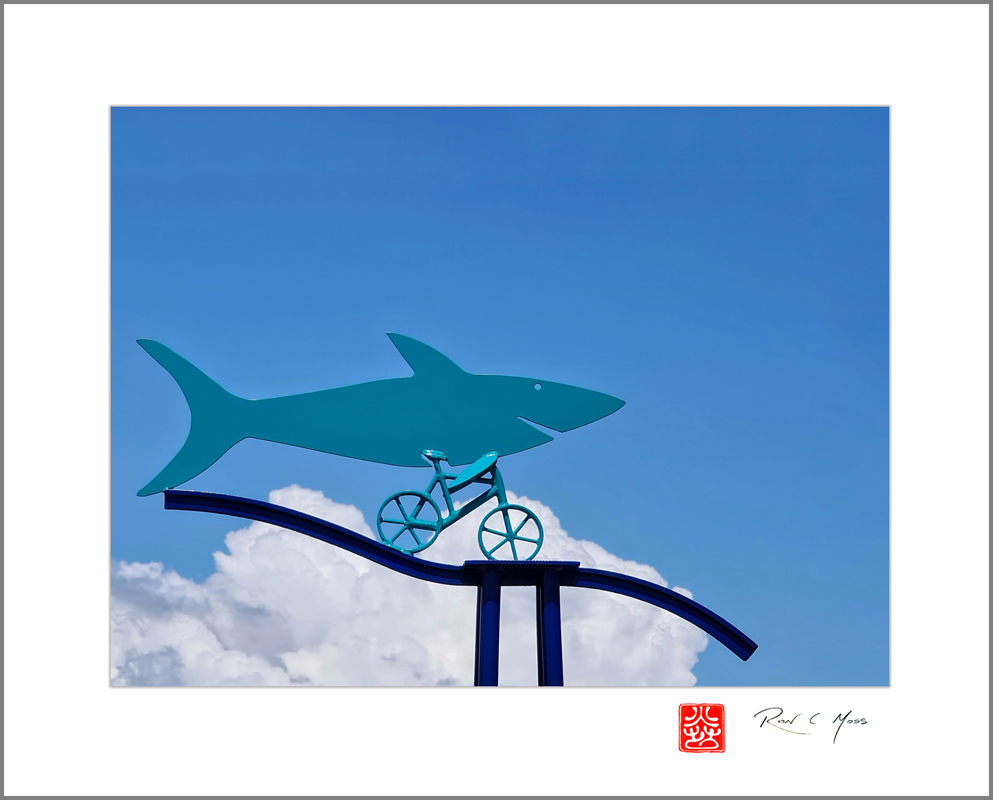 AHS Summer Solstice Haiga Kukai 2022&nbsp;Non-Seasonal