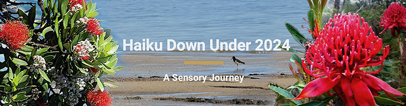 Register now for Haiku Down Under&nbsp;2024