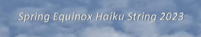 AHS Spring Equinox Haiku String&nbsp;2023