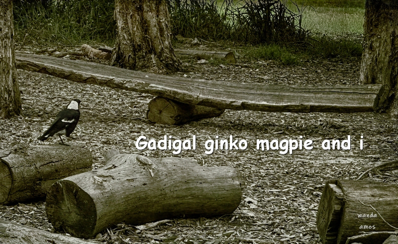 photo and haiku text